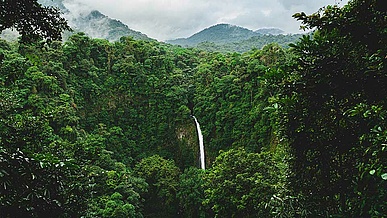 Bosque en Costa Rica