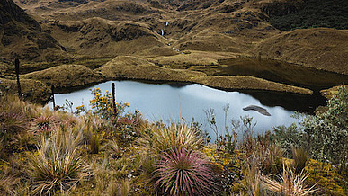 Ecuador