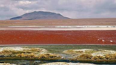 Landscape in the country of origina Bolivia